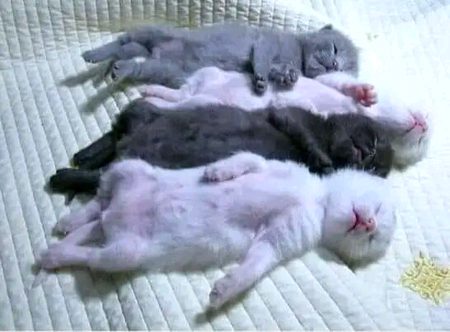 Beautiful Nature image