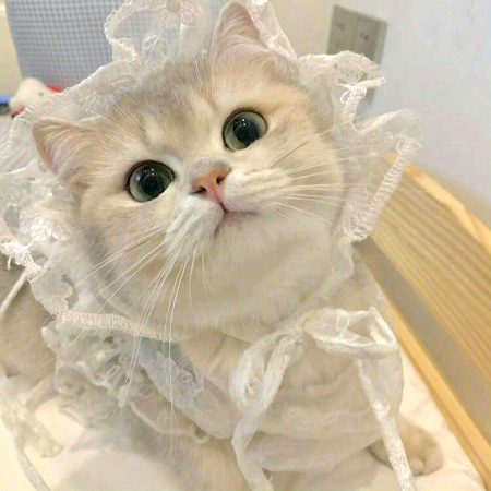 Beautiful Nature image