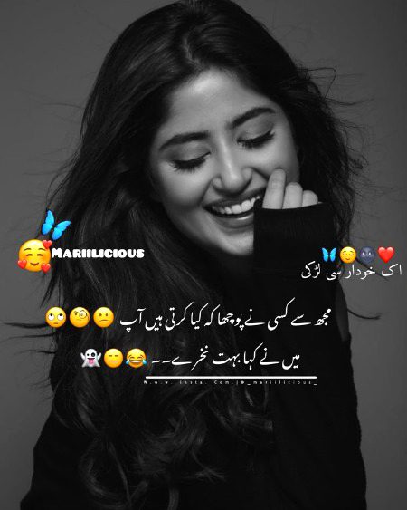 Memes & Satire image