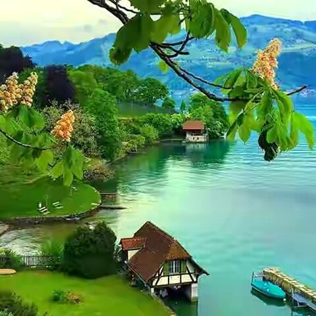 Beautiful Nature image