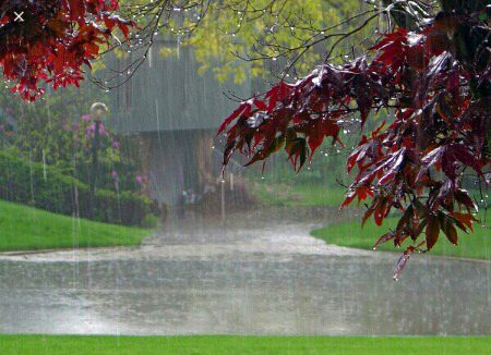 Beautifull nature