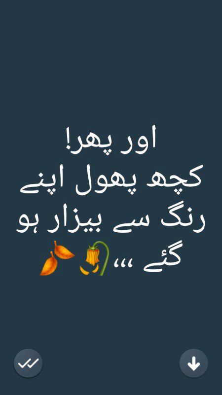 پھول اپنے رنگ سے بیزار ہو گئے