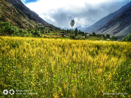 Beautiful Nature image