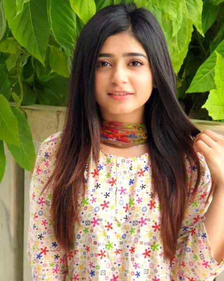 Pakistani Celebs image