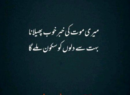 Sad Poetry image