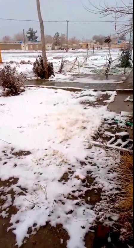 Beautiful Nature image