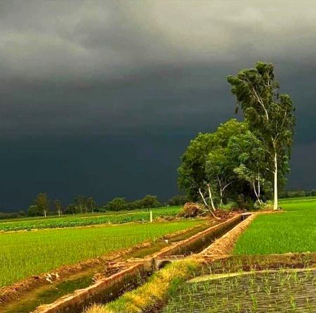 Beautiful Nature image