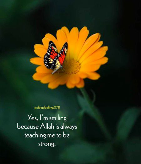 Islamic Quotes image