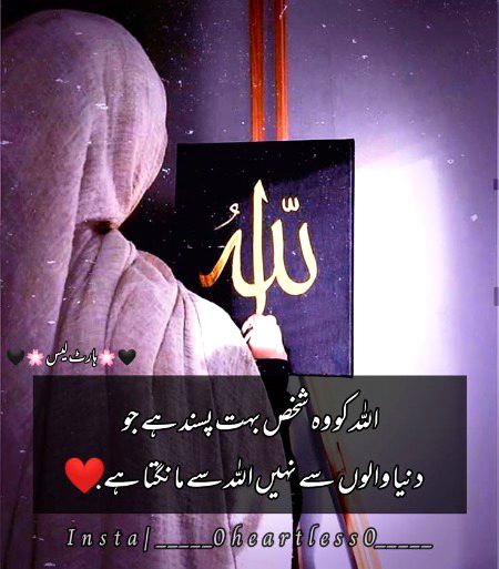 Islamic Quotes image