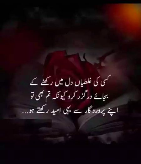 bilkul 🌹🍀🌹🍀🌹🍀