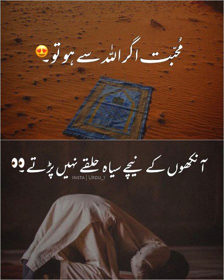 Islamic Quotes image