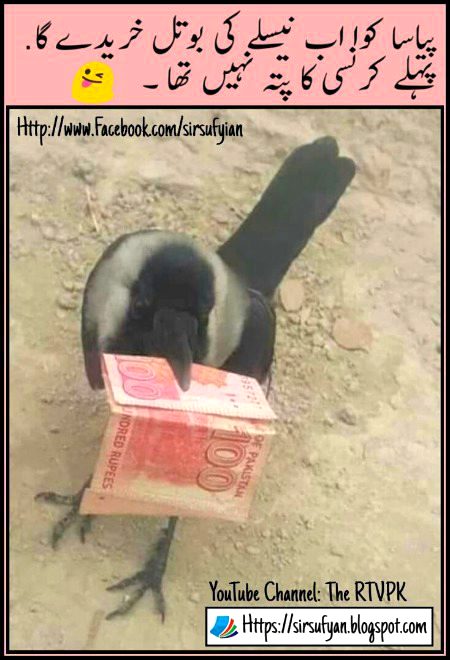 Memes & Satire image