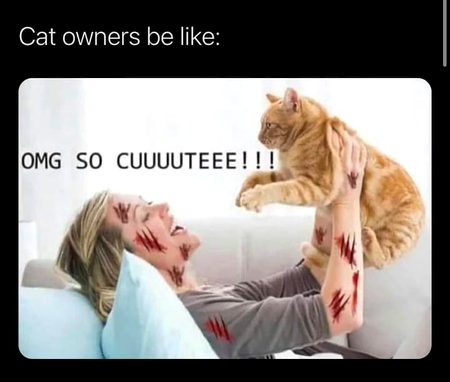 Memes & Satire image