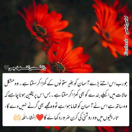 Motivational Quotes image