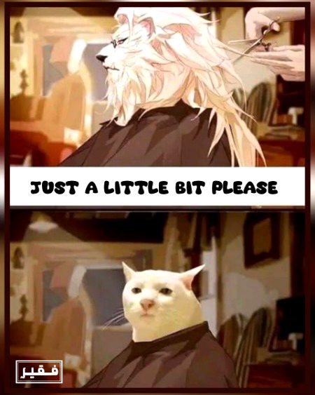 Memes & Satire image