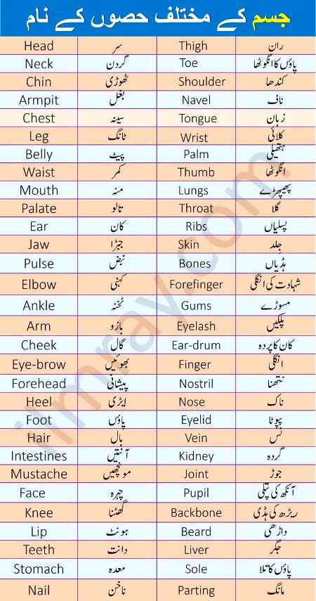 Tips for Students image