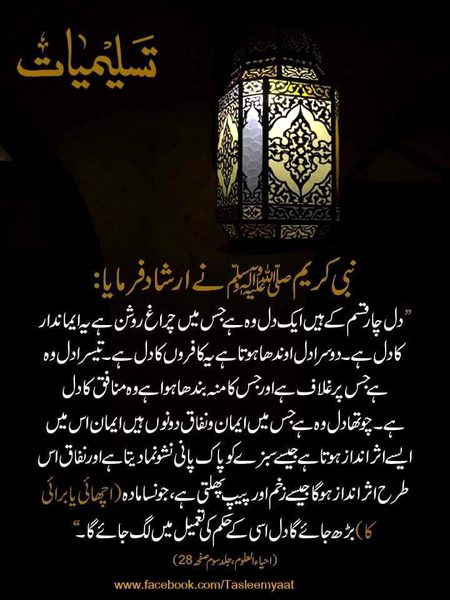 Islamic Quotes image