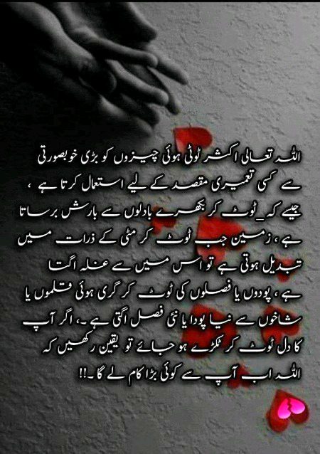 Islamic Quotes image