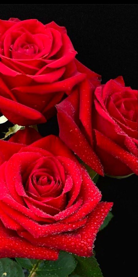 Beautiful Nature image