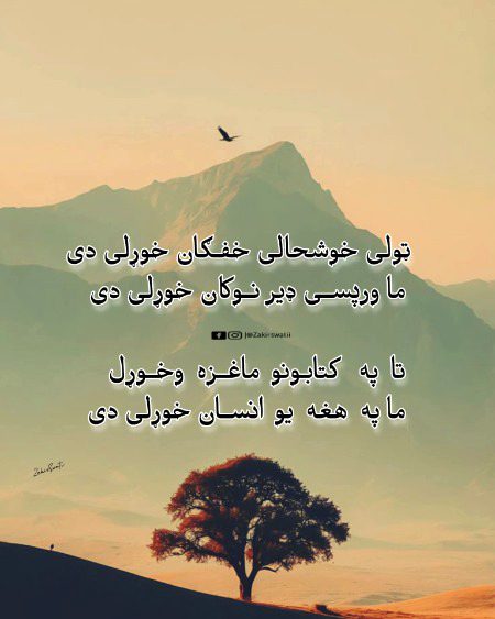 Pakhtoo shairy