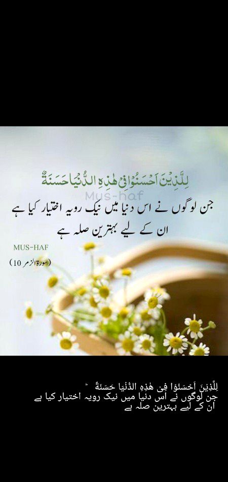 Beshak