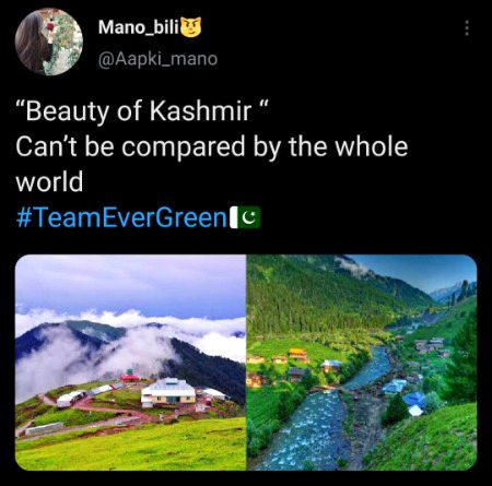 Beautiful Nature image