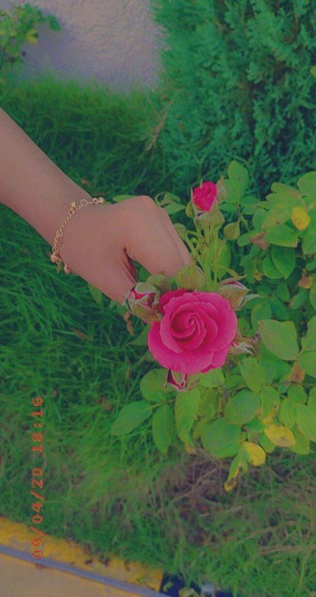 Beautiful Nature image