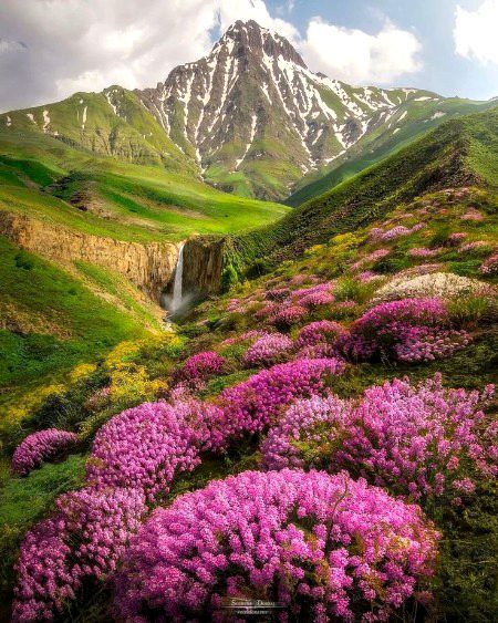 Beautiful Nature image