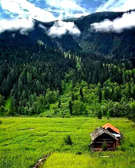 Beautiful Nature image