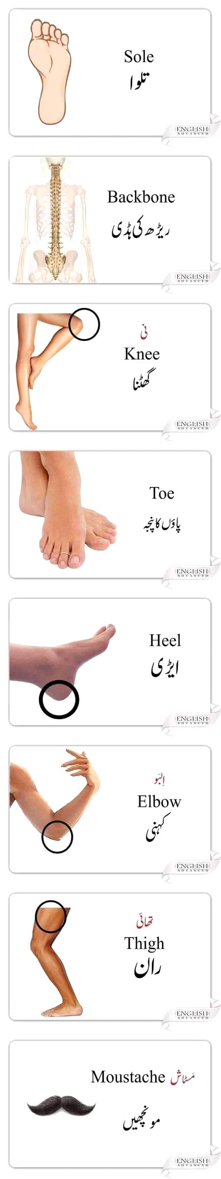 Tips for Students image