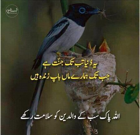 Ameeen soma ameeen😍