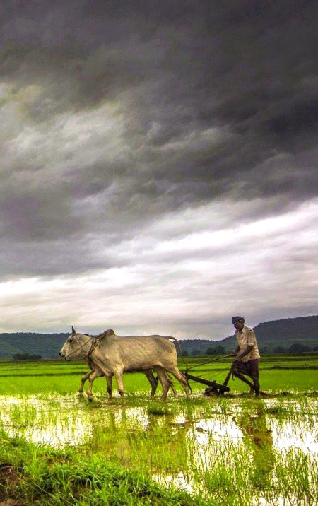 Beautiful Nature image