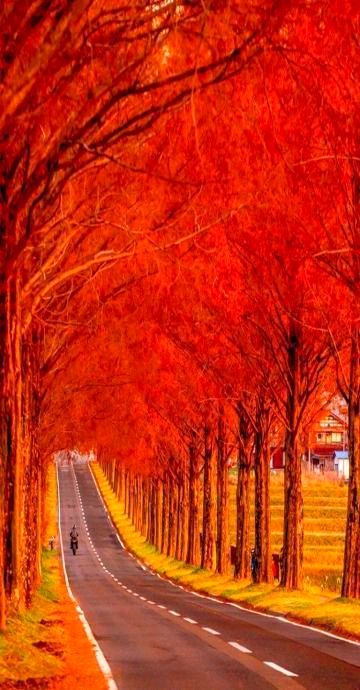 Beautiful Nature image