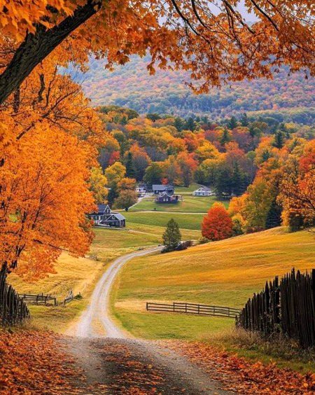 Beautiful Nature image