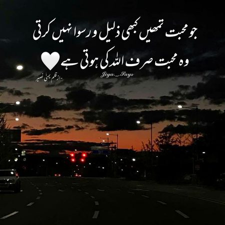 ...❤❤❤🌹🌹...