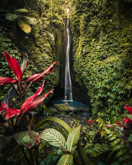 Beautiful Nature image