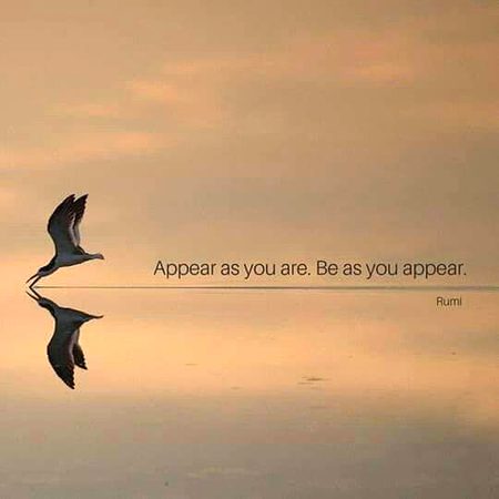 Life Advice image