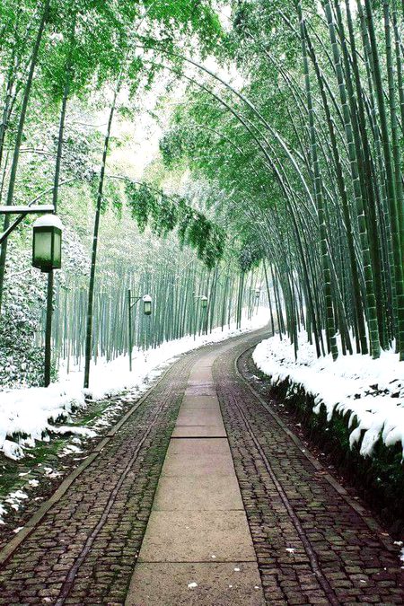 Beautiful Nature image