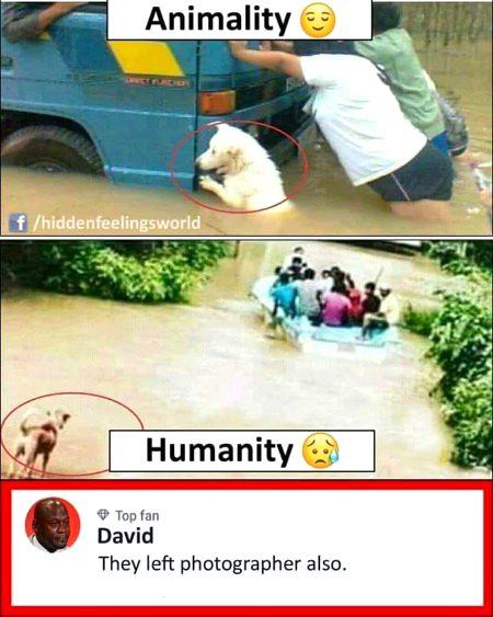 Memes & Satire image