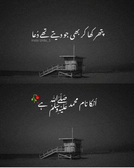 Islamic Quotes image