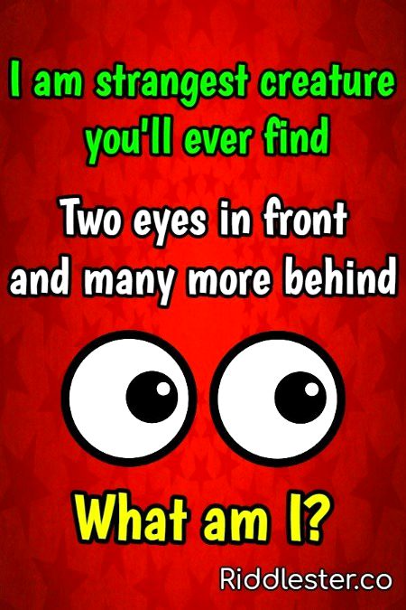 Riddles & Puzzles image