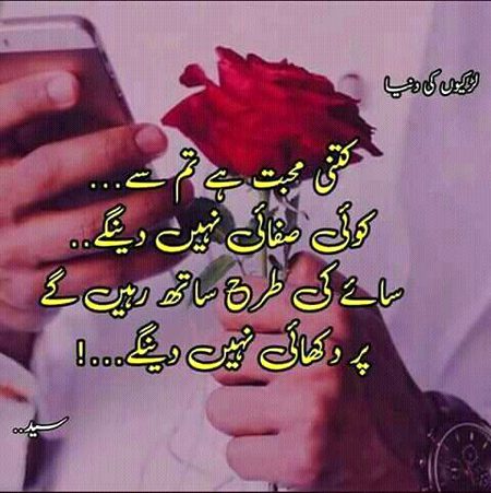 Saanaam❣️❣️