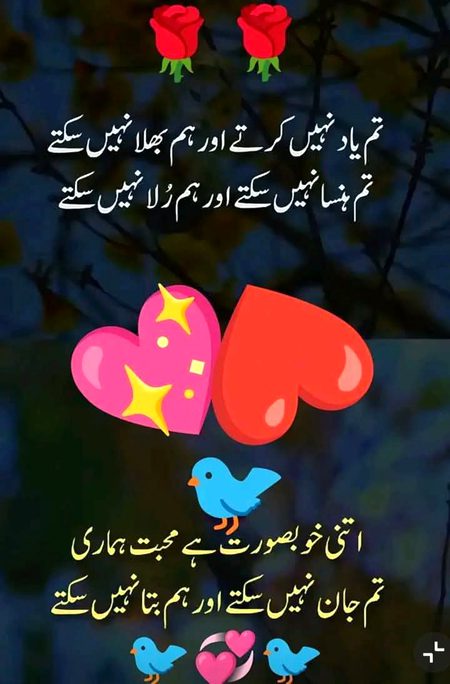 Romantic Poetry image