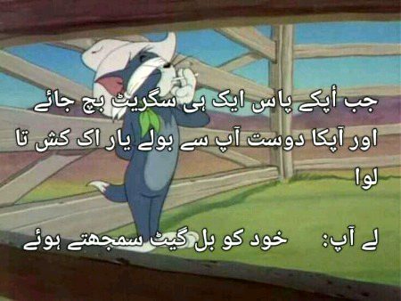 Memes & Satire image