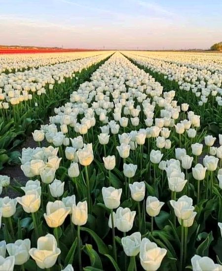 Beautiful Nature image