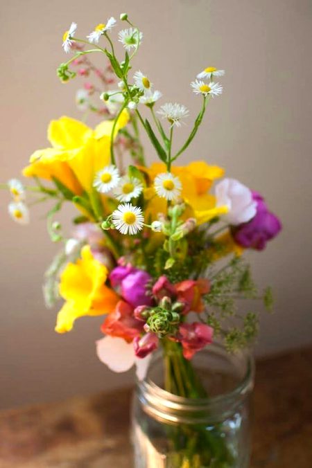 Beautiful Nature image