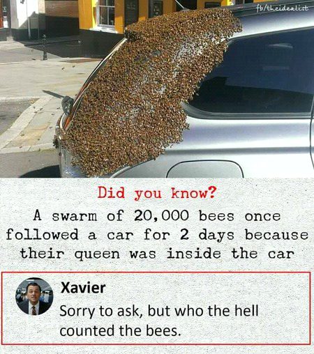 Memes & Satire image