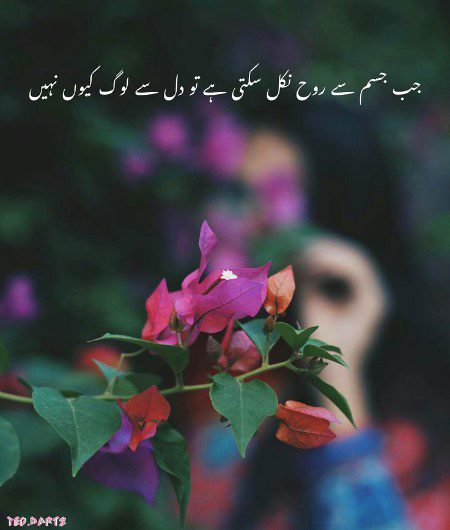Sad Poetry image