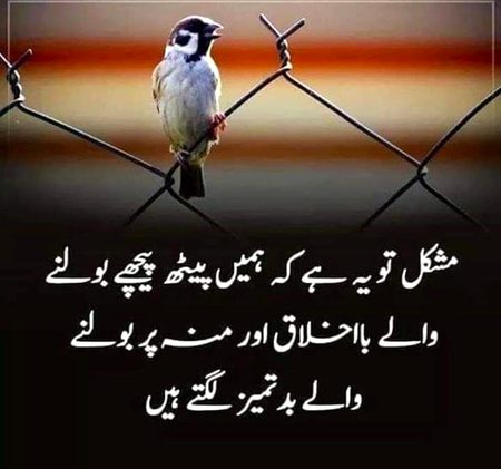 Boohot sai log kehty hain k humain such  kehny ki adat hai to janaab kiya such sun Na bhi pasand hai apko??🤔