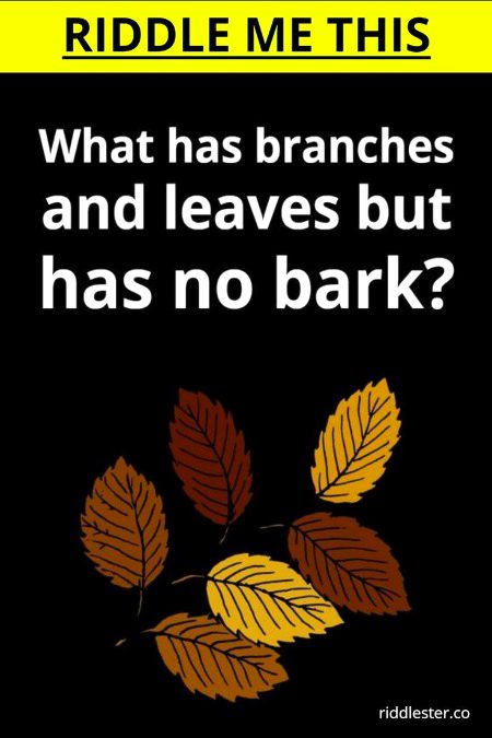 Riddles & Puzzles image